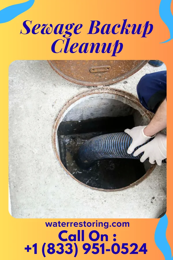 Sewage Backup Cleanup in Talmage, NE